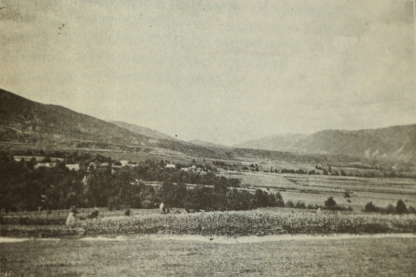 (p.71) [fig. 19] Poarta de fier transilvană (în fund). Vedere luată din marginea satului Grădiştea.