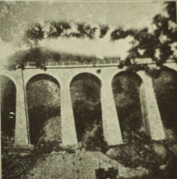 (p.91) [Fig.37] Viaduct pe traseul liniei ferate care se construieşte în defileul Jiului. (Clişeu Ionniţiu Mircea).